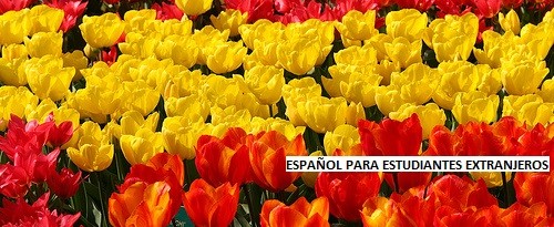 ESPAÑOL para estudiantes extranjeros
